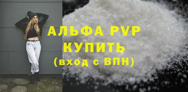 молекула духа Новозыбков