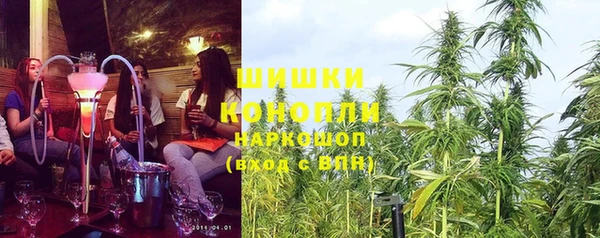 СК Новокубанск