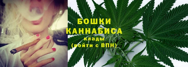 молекула духа Новозыбков