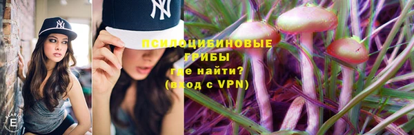 прущая мука Нея