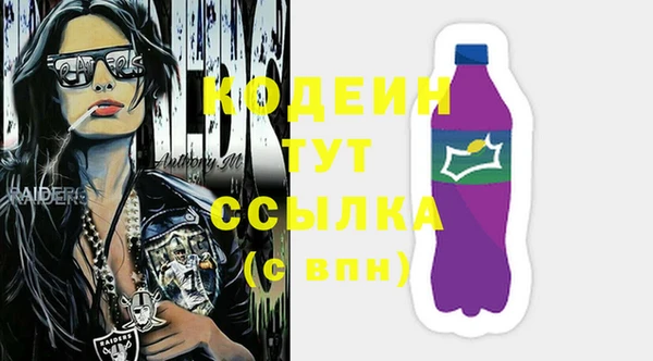 молекула духа Новозыбков