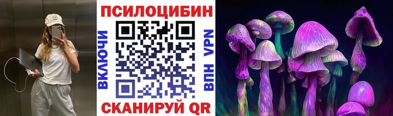гидра Братск Псилоцибиновые грибы мухоморы