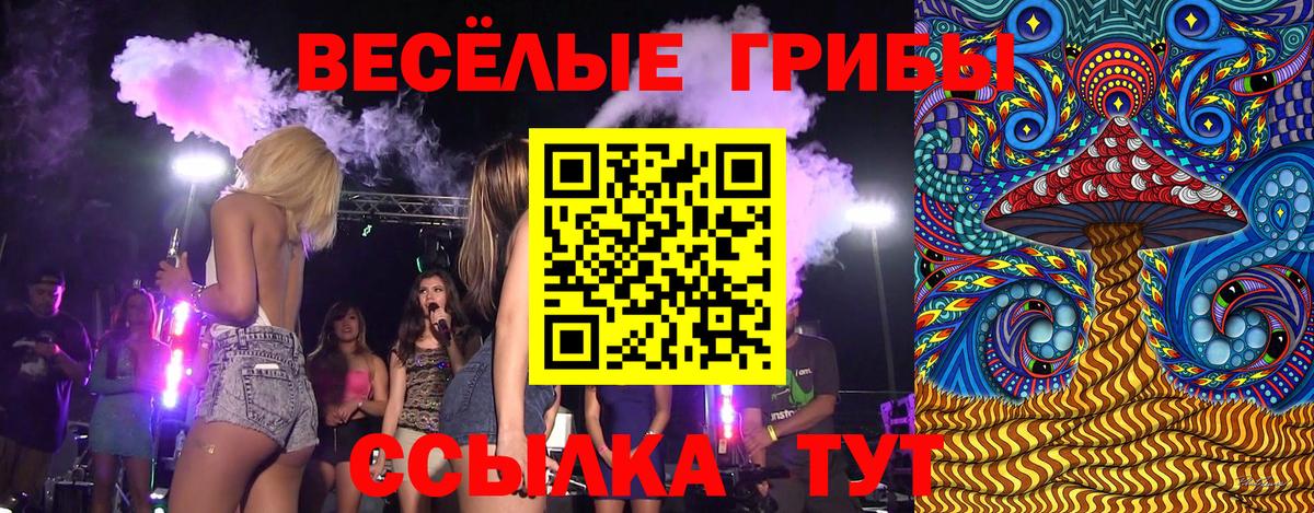 Псилоцибиновые грибы Psilocybine cubensis Братск