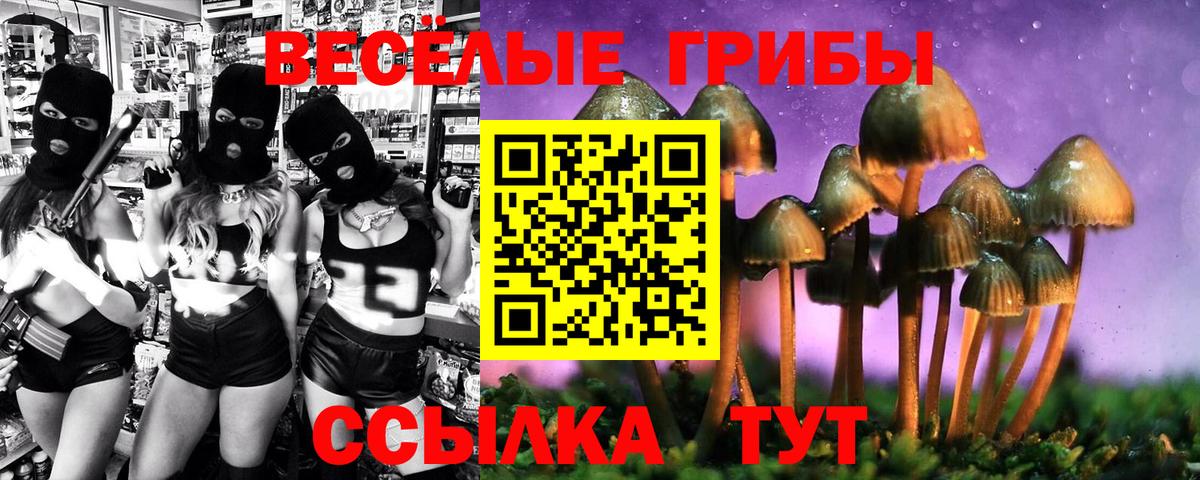 Псилоцибиновые грибы ЛСД  Братск 