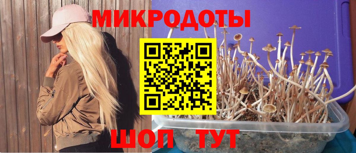 Галлюциногенные грибы мухоморы Братск