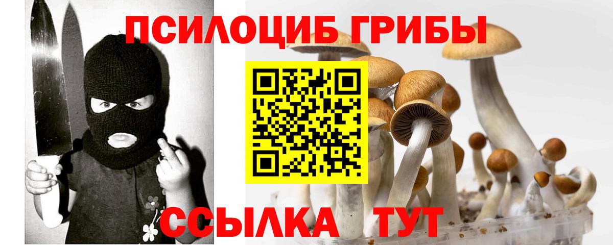 Галлюциногенные грибы мицелий  Вход с VPN  Братск 
