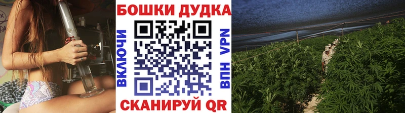 Канабис план  где купить наркотик  OMG рабочий сайт  Братск 